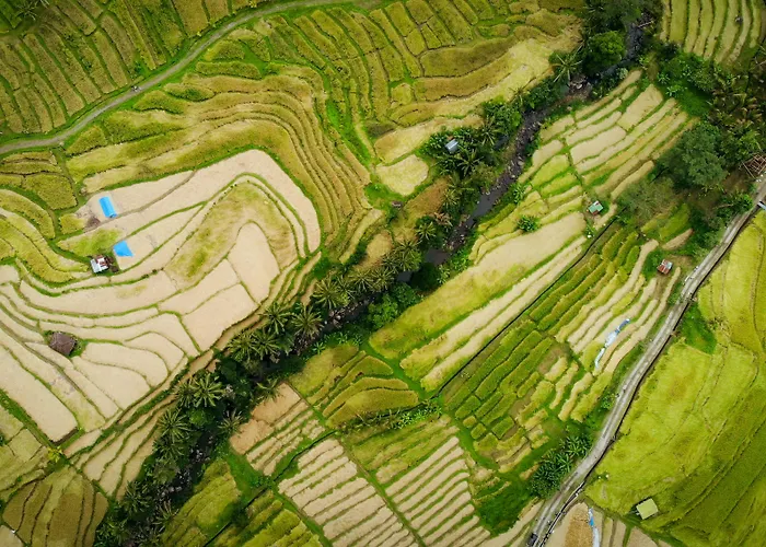 Resorts y Hoteles con Parques acuáticos en Ubud