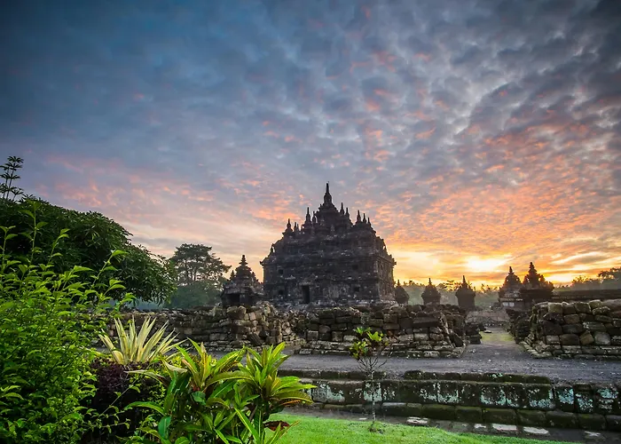 Hondvriendelijke hotels in Yogyakarta