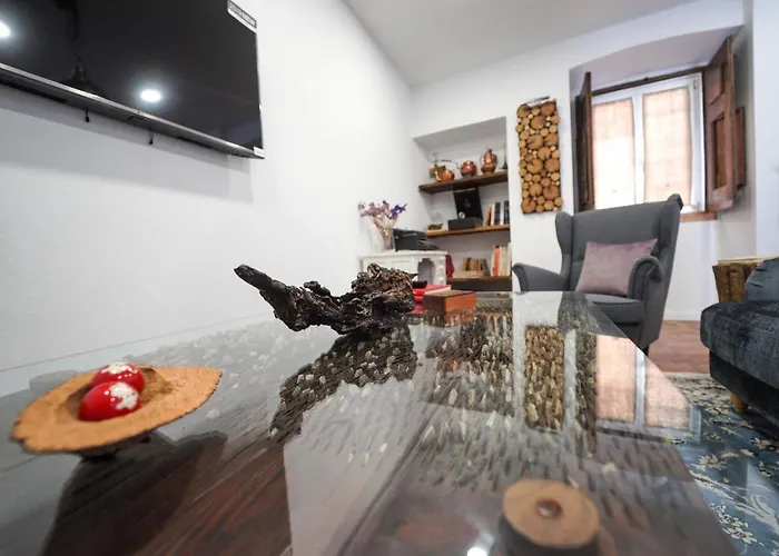 Hotéis que aceitam cães em Beja