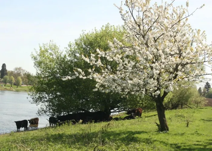 Vakantiehuizen in Baarlo (Limburg)
