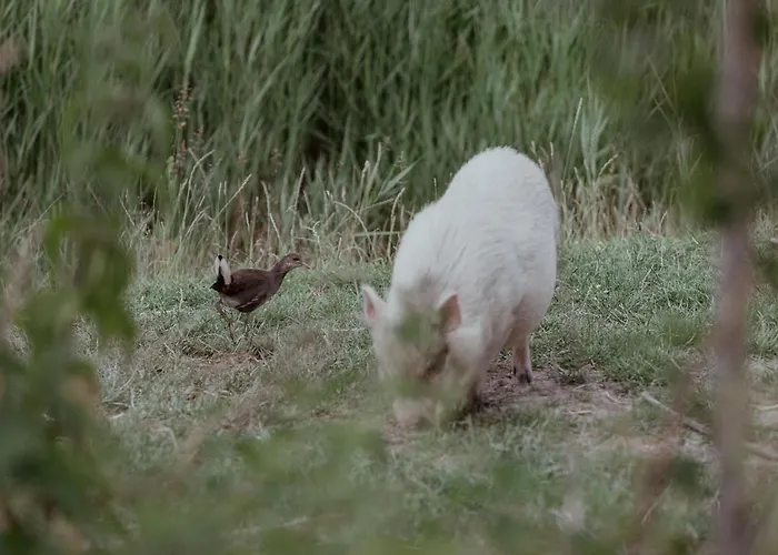 Strandhotels in Oostkapelle