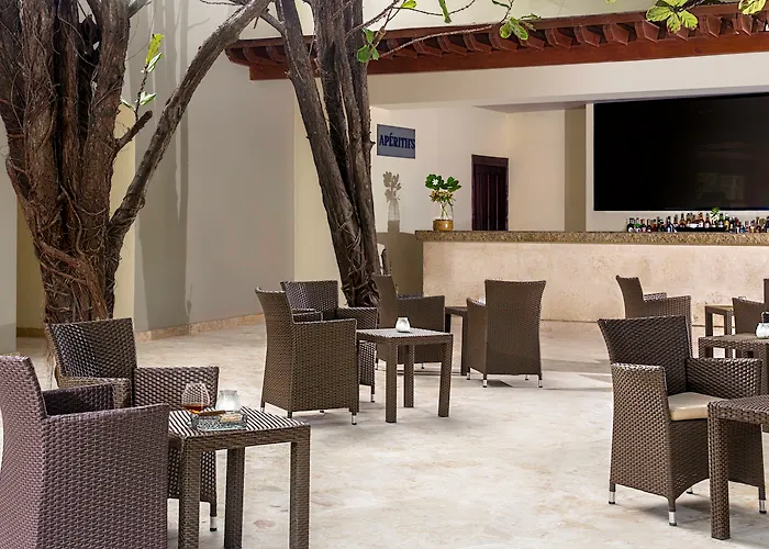 Hoteles que admiten perros en Punta Cana 