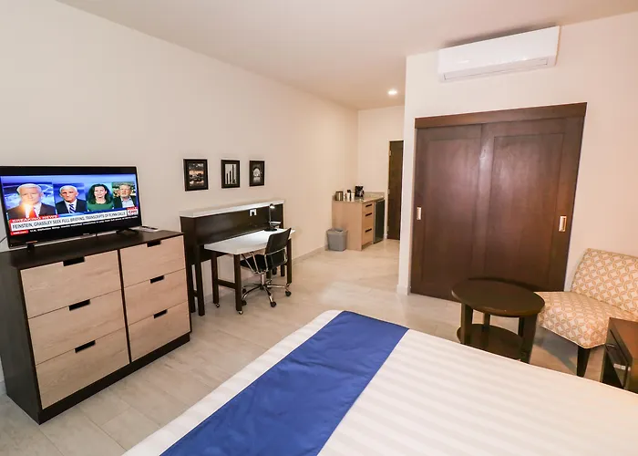 Cabo San Lucas Dog Friendly Hotels