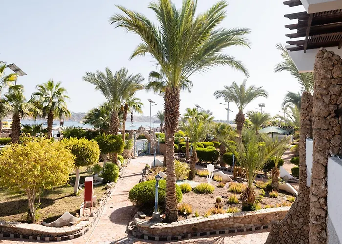 Zentrale Hotels in Sharm El-Sheikh