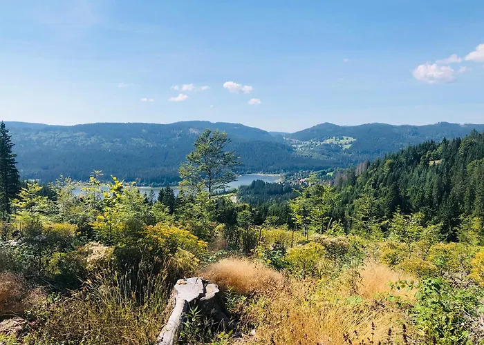 Ferienwohnungen in Feldberg (Baden-Wurttemberg)