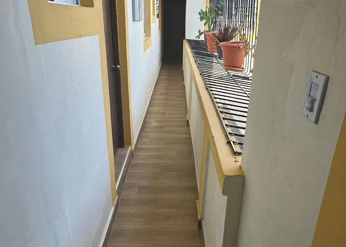 Santo Domingo Dog Friendly Hotels