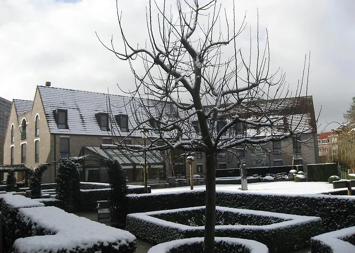 Hondvriendelijke hotels in Leuven