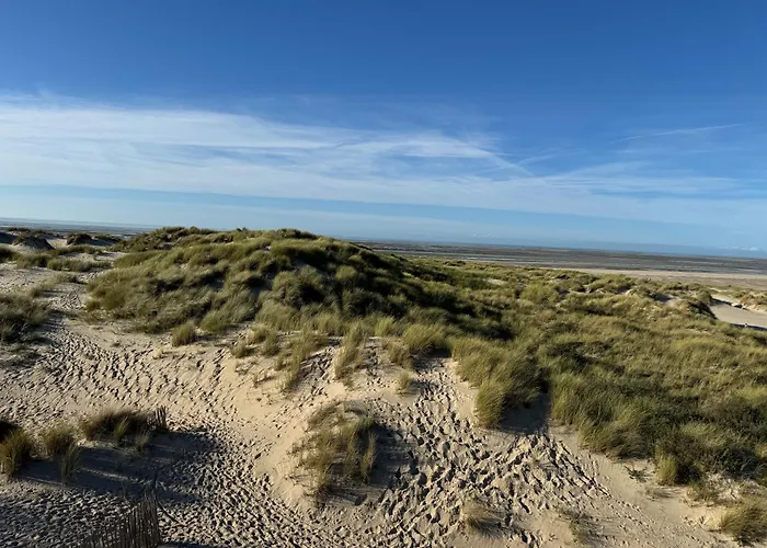 Appartements à Le Touquet-Paris-Plage
