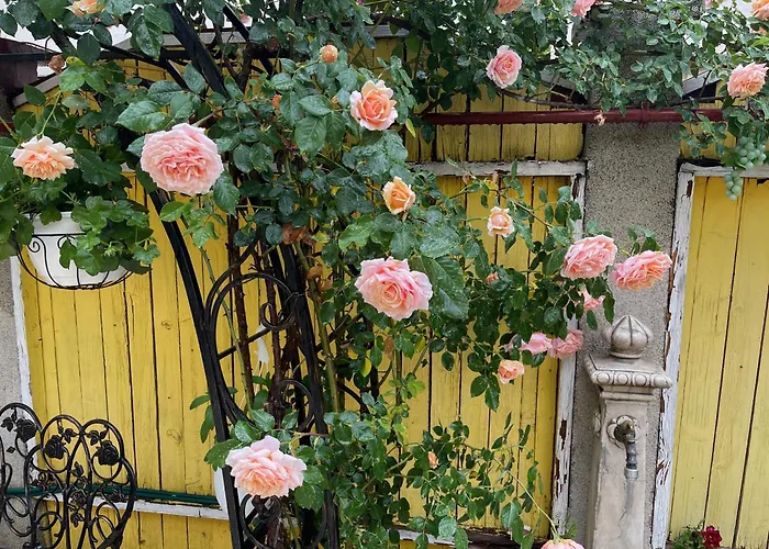 High-End 3Br Apartment - Private Garden, Terrace & Bbq