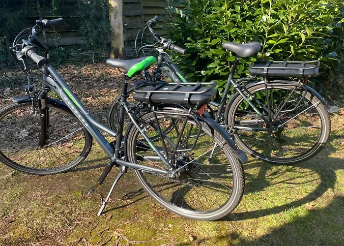 Hondvriendelijke hotels in Enschede