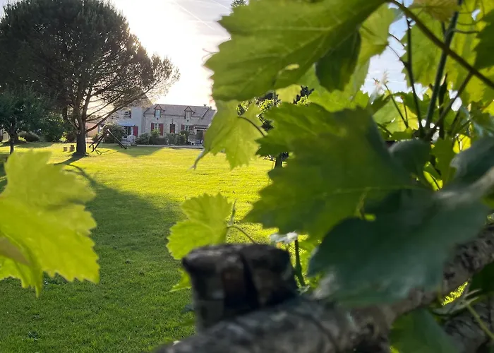 Hôtels de Bergerac qui acceptent les chiens