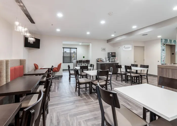 Rehoboth Beach Dog Friendly Hotels