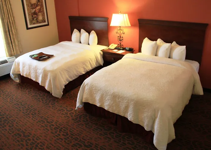 Katy Dog Friendly Hotels