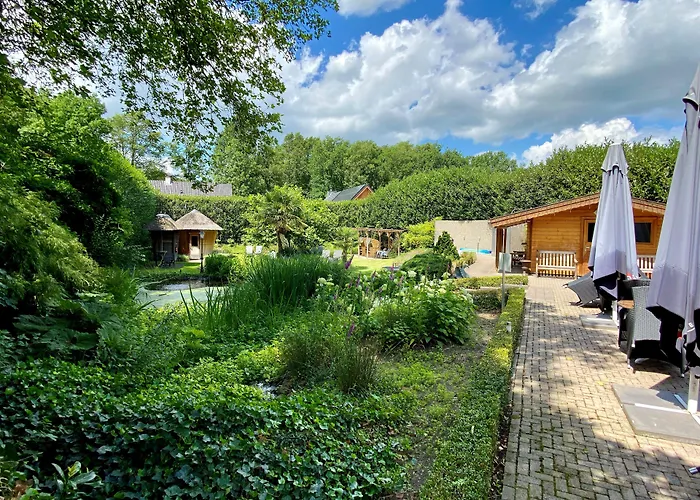 Hondvriendelijke hotels in Ommen