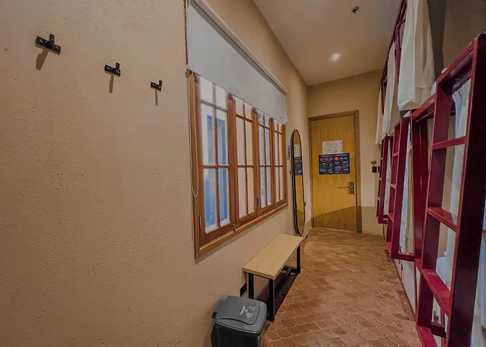 Hoteles que admiten perros en Santa Marta (Magdalena) 