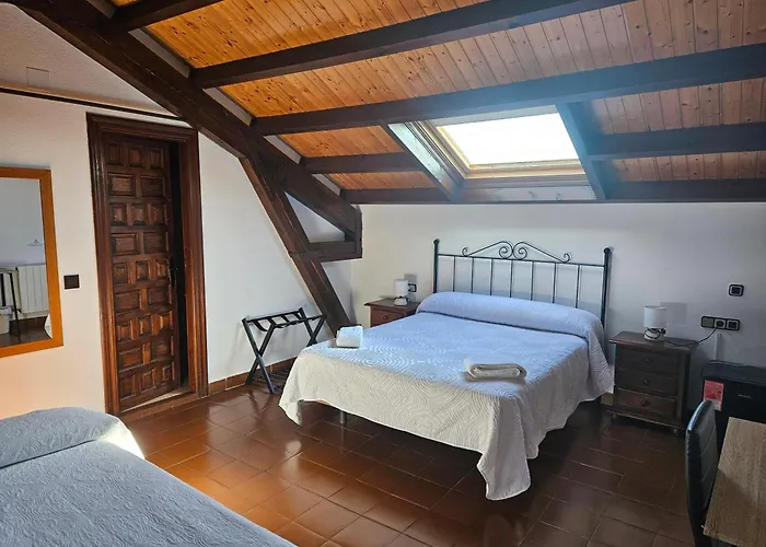 Hoteles que admiten perros en Zamora 