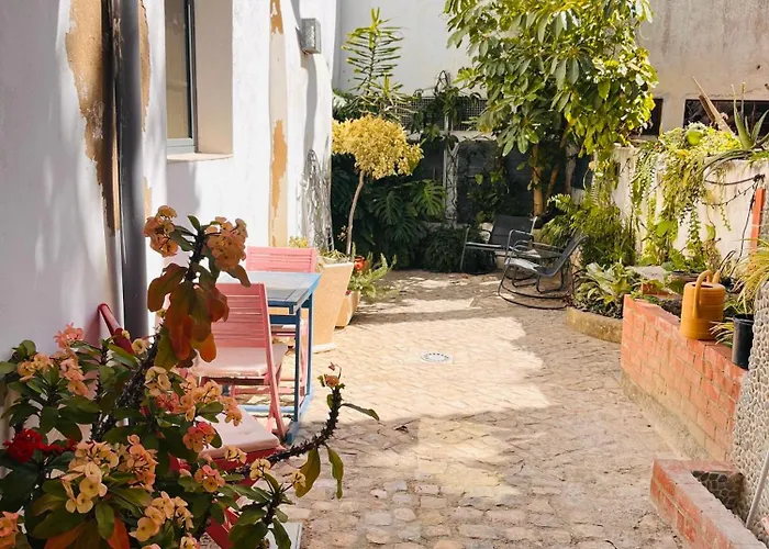 Hoteles que admiten perros en Distrito de Faro 