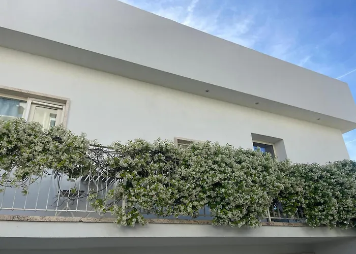 Aparthotels in Olbia