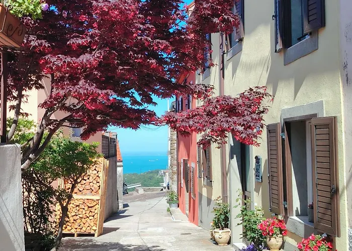 Alquileres de vacaciones en Trieste