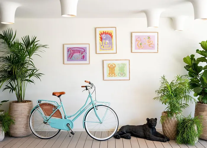 Magaluf (Mallorca) Dog Friendly Hotels