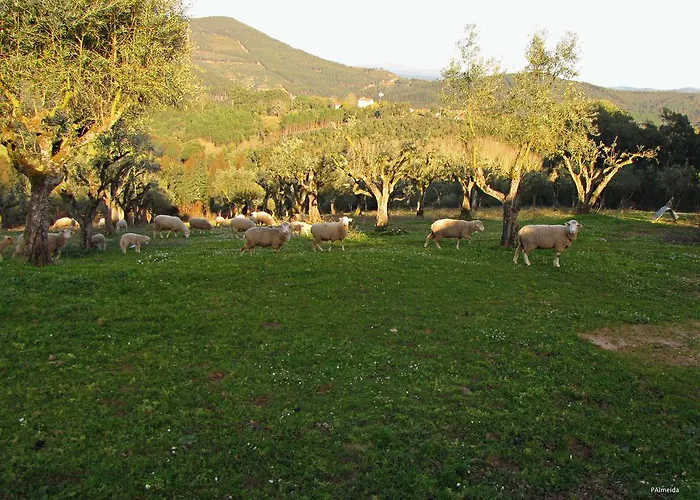 Casas de férias em Ferreira do Zêzere