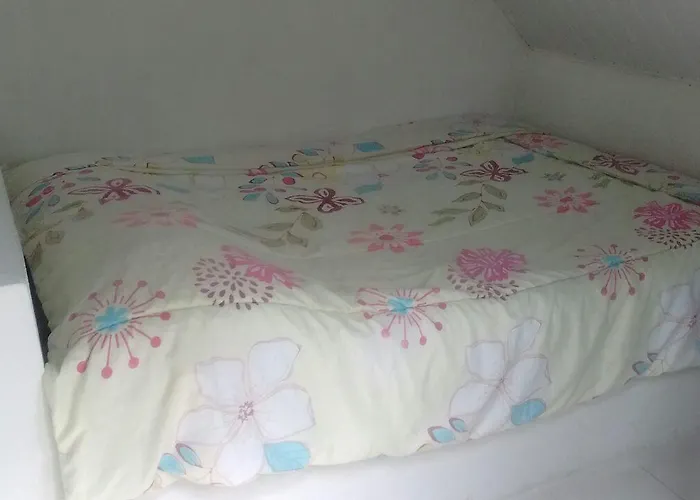 Casas de férias em São Roque