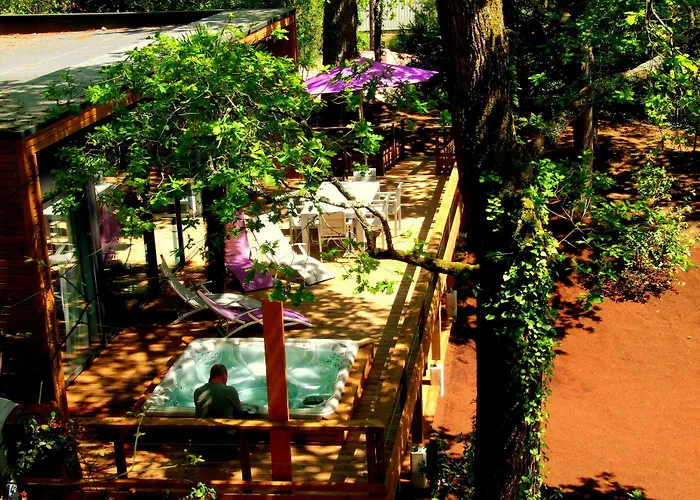 Maisons de vacances à Arcachon