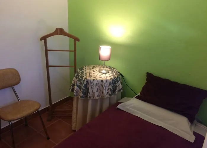 Hotéis que aceitam cães em Tomar